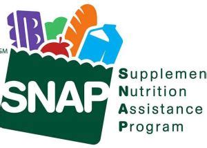 IDHS: SNAP Online Purchasing Program.